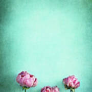 Pink Peonies  #1 Art Print