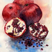 Pomegranate #1 Art Print