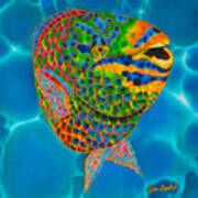 Queen Parrotfish Art Print