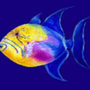 Queen Triggerfish #1 Art Print