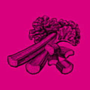 Rhubarb Stalks #1 Art Print