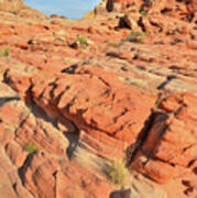 Sandstone Slope In Valley Of Fire #2 Art Print