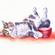Contented Cat - Stolen Lunch Art Print