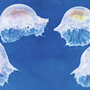 The Jellyfish Nursery #1 Art Print