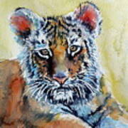 Tiger Cub #1 Art Print