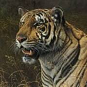 Tiger Portrait #1 Art Print