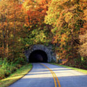 Tunnel Through Autumn #1 Art Print
