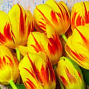 Wonderful Red Yellow Tulips #1 Art Print