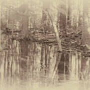 1000 Acre Swamp Art Print