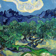 The Olive Trees #13 Art Print
