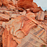Waves Of Color In Valley Of Fire #14 Art Print