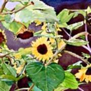 #190 Sunflowers #190 Art Print