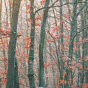 Autumn Forest #2 Art Print