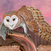 Barn Owl #2 Art Print
