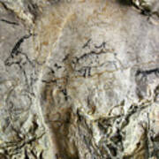 Cave Painting In Prehistoric Style #2 Art Print