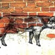 Danish Duroc Boar #3 Art Print