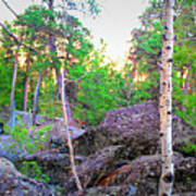 Devils Tower Morning #3 Art Print