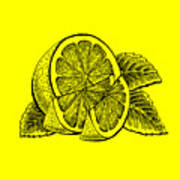 Lemon #1 Art Print