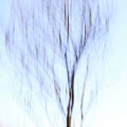 Motion Blurred Trees  #2 Art Print