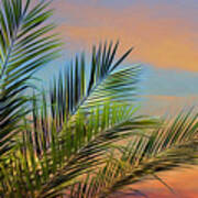 Naples Palms #2 Art Print