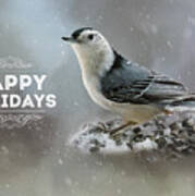 Nuthatch In Winter Holiday Card #2 Art Print