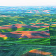 Rolling Wheat Field - Palouse #2 Art Print