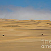 Sand Dunes In Namib Desert #2 Art Print