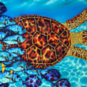 Sea  Turtle Art Print