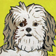 Shih Tzu #2 Art Print