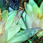Jeweled Water Lilies #22 Art Print