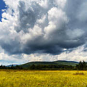 Cranberry Glades Botanical Area #24 Art Print