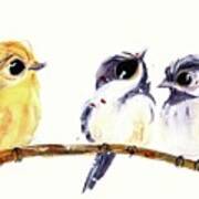 3 Birds On A Branch Art Print