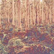 Boranup Forest Ii #3 Art Print