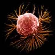 Breast Cancer Cell #6 Art Print