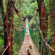 Hanging Bridge #3 Art Print