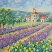 Lavender Field Provence #4 Art Print