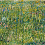 Patch Of Grass #6 Art Print
