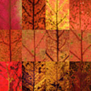 Swatches - Autumn Leaves Inspired By Gerhard Richter #2 Art Print