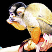 #59 Squirrel Monkey 2 #59 Art Print