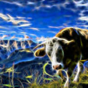 Cow #6 Art Print