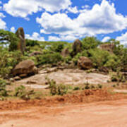 Landscape In Tanzania #6 Art Print