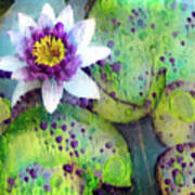 Jeweled Water Lilies #60 Art Print