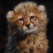 Cheetah Cub #7 Art Print