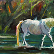 7d Horse River Art Print