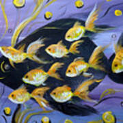 8 Gold Fish Art Print