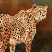 Cheetah #9 Art Print
