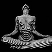 9934-dja Lotus Position In Zebra Stripes Art Print