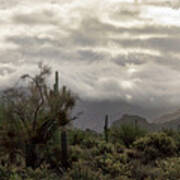 A Foggy Desert Morning Art Print