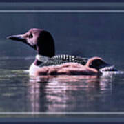 A Framed Contemporary Loon Artwork Art Print