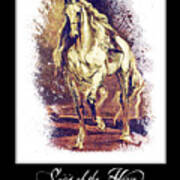 A Grey Horse Art Print